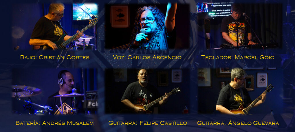 Rock In Progress