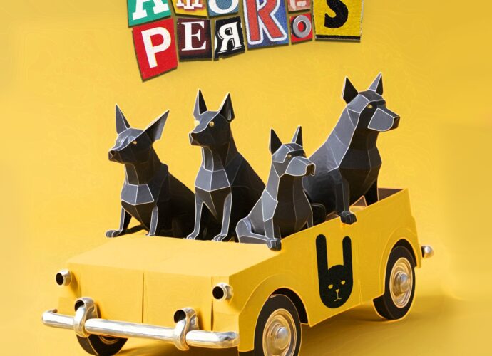 Amores Perros, lo nuevo de Chamblers